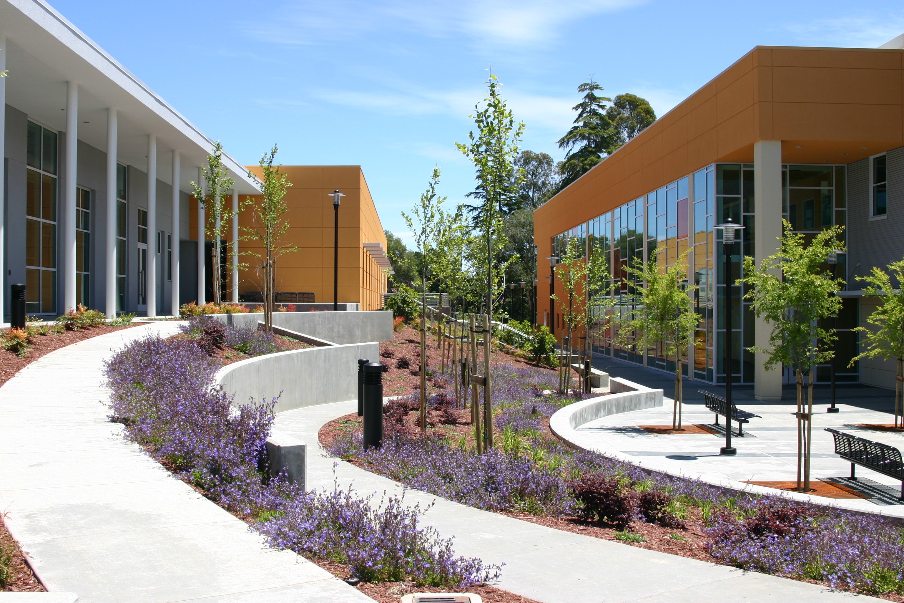 Universidad de Cabrillo