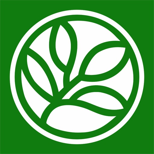 Universidad de Evergreen Valley