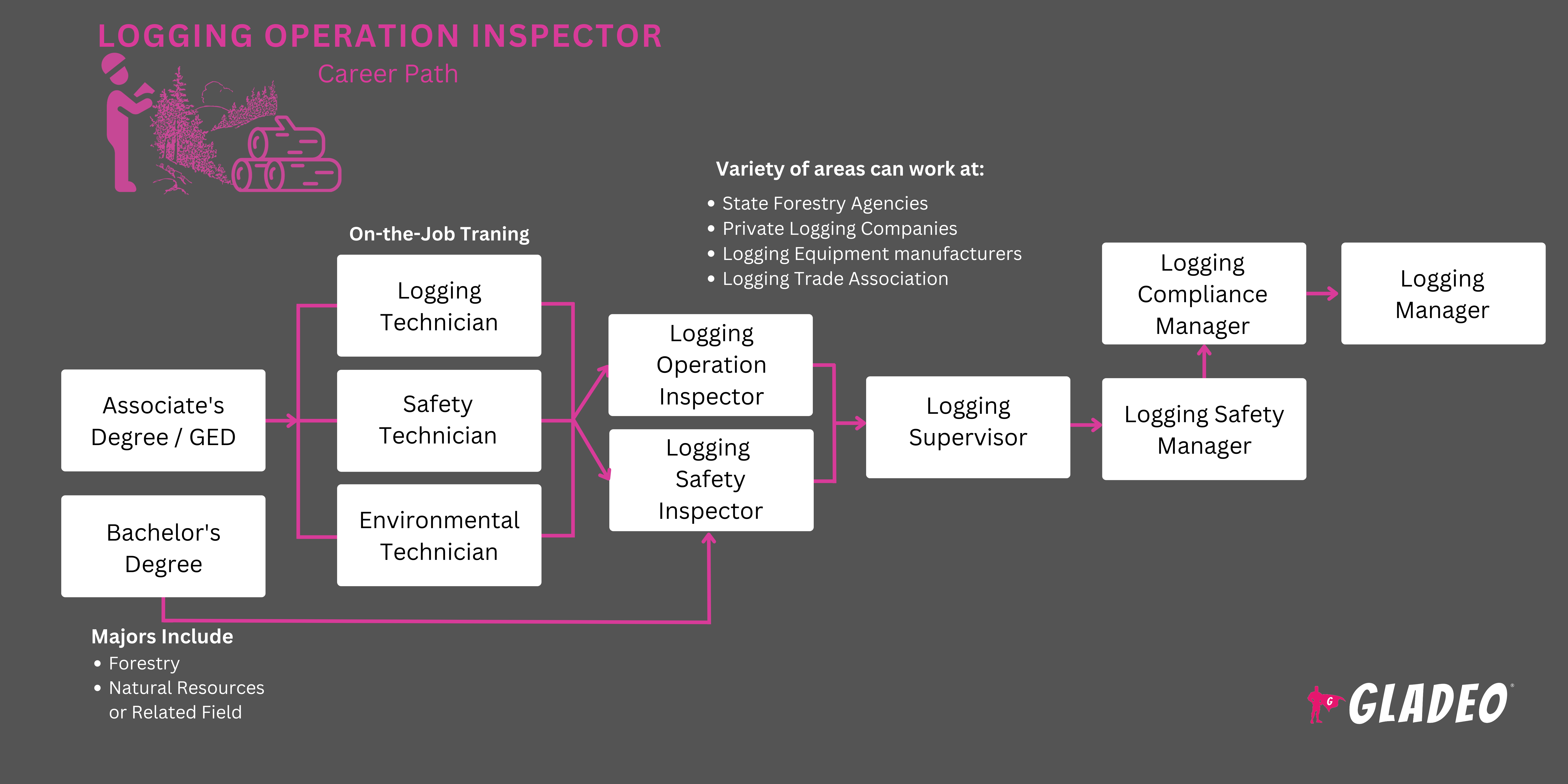 Inspector de operaciones de registro