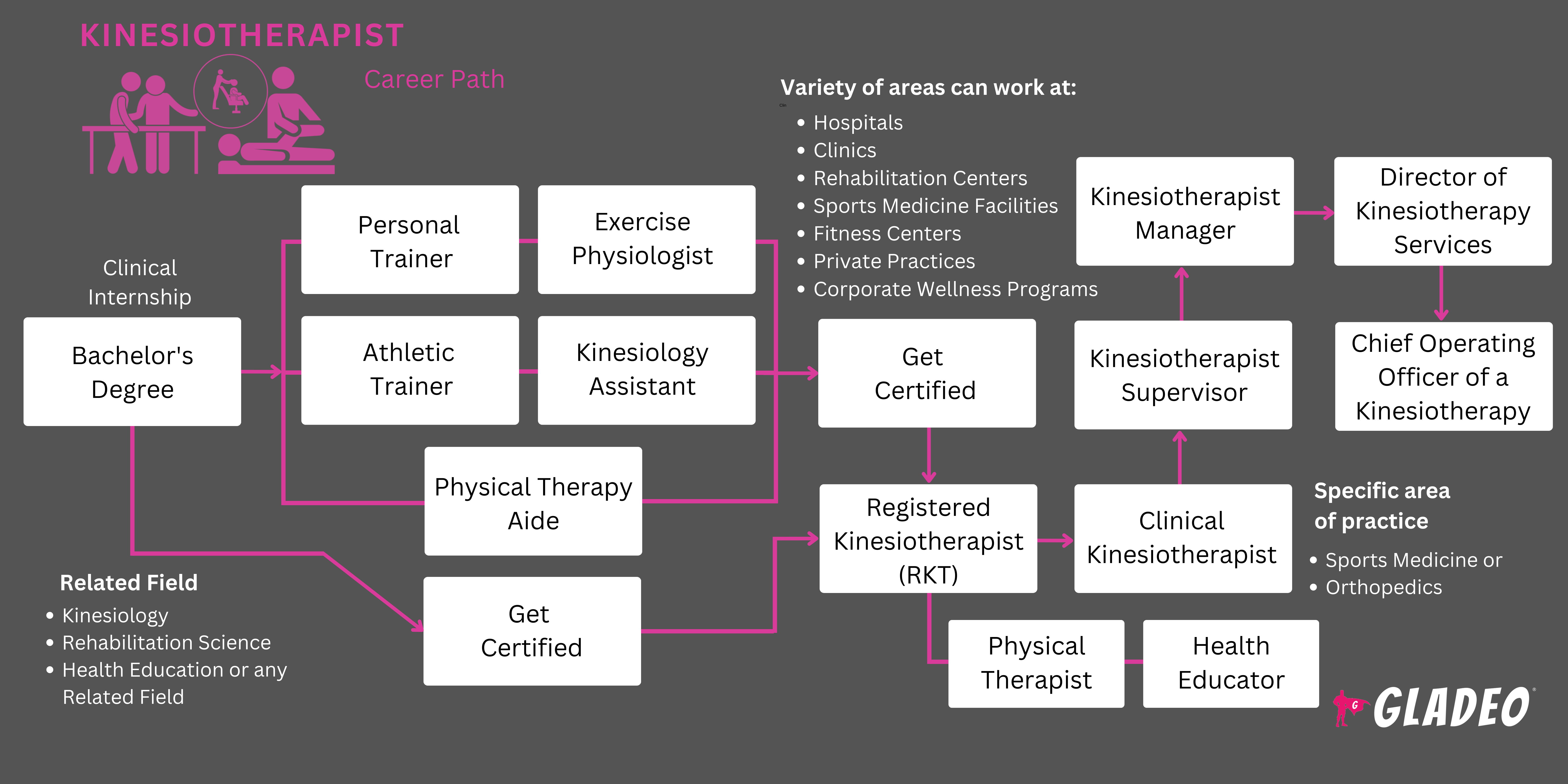 Hoja de ruta del kinesioterapeuta