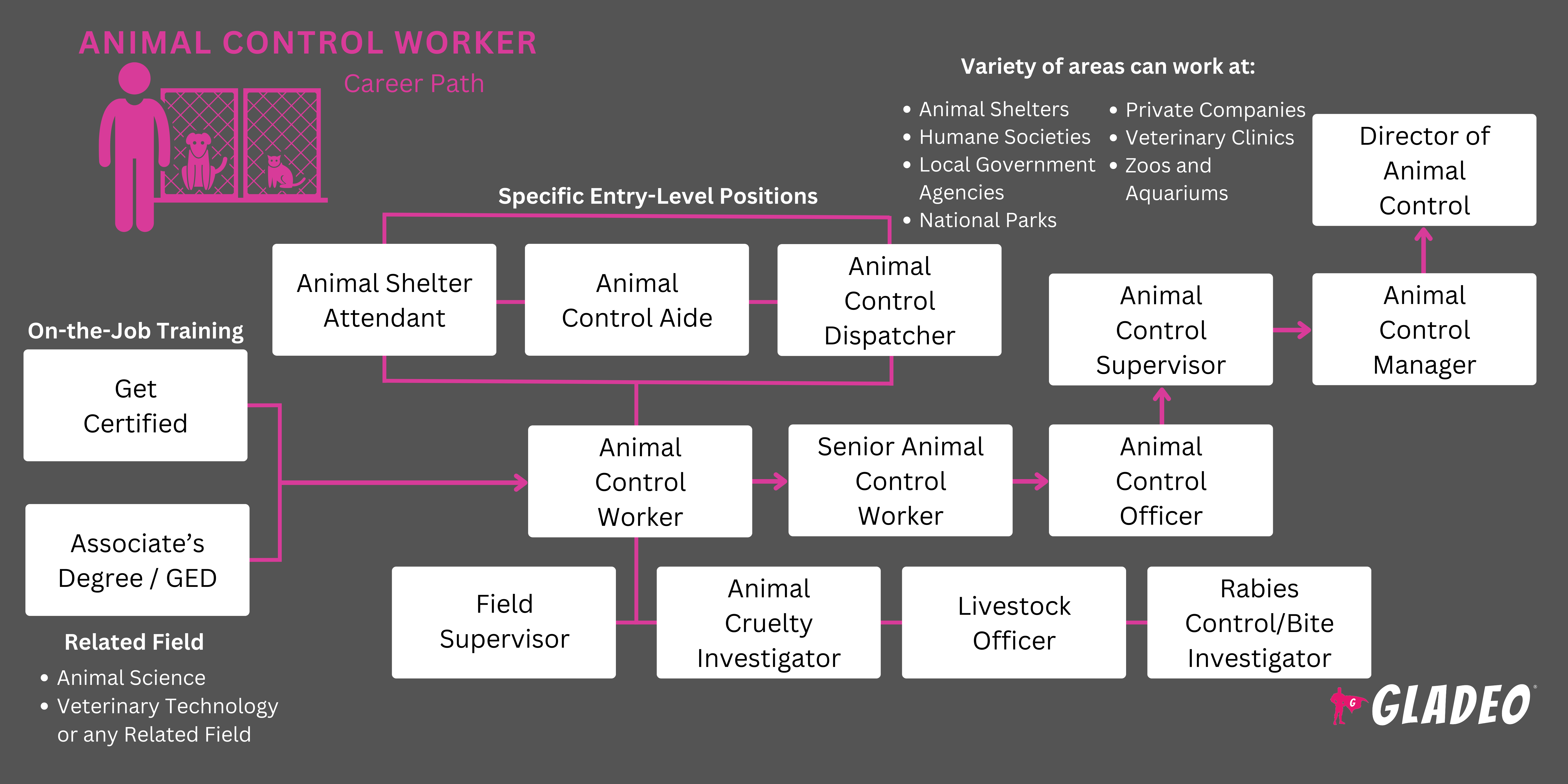 Hoja de ruta del trabajador de control de animales